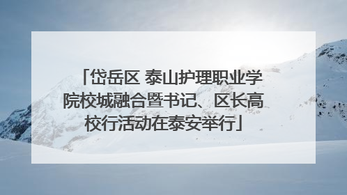 岱岳区 泰山护理职业学院校城融合暨书记、区长高校行活动在泰安举行